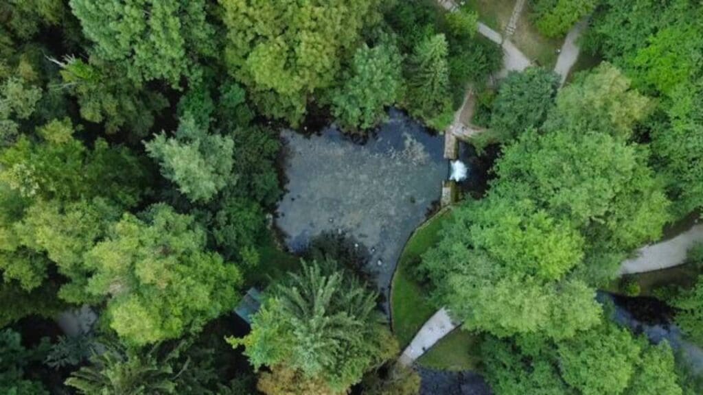 Bosnia Spring Park - Vrelo Bosna