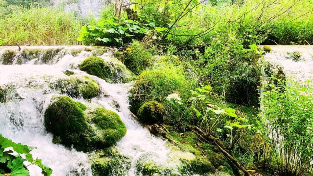 Sarajevo to Bihac: Una River & Waterfall Expedition, Plitvice Lakes National Park