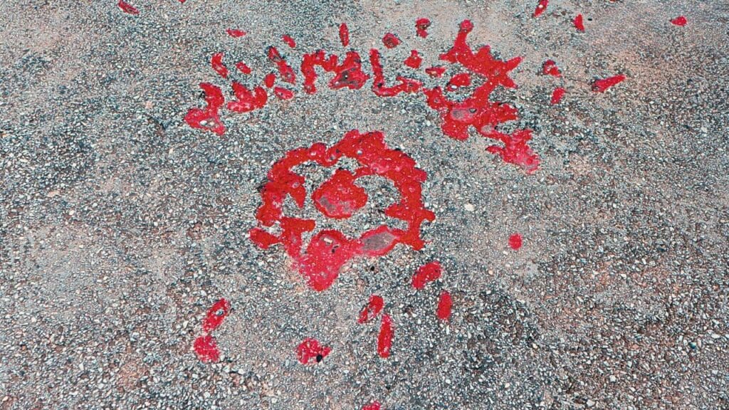 Sarajevo Roses