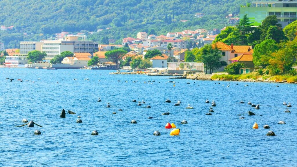Kotor Bay Cruise: Blue Cave & Coastal Charms