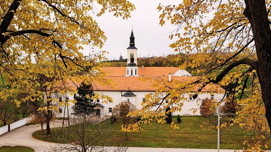 Novi Sad & Petrovaradin: Cultural Heart of Serbia Tour