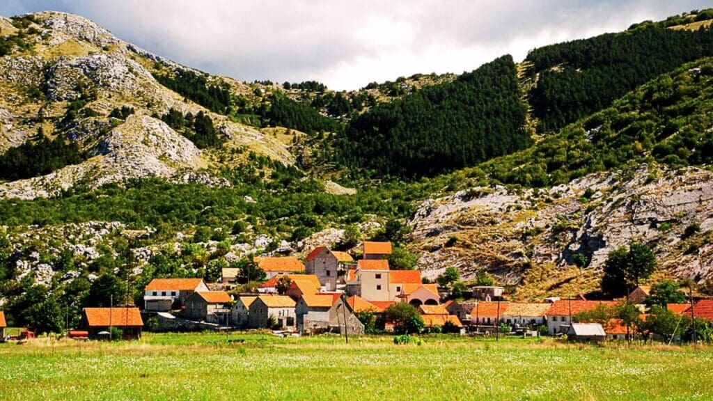 Montenegro in a Day: Lovćen Mountains to Cetinje Royal Towns