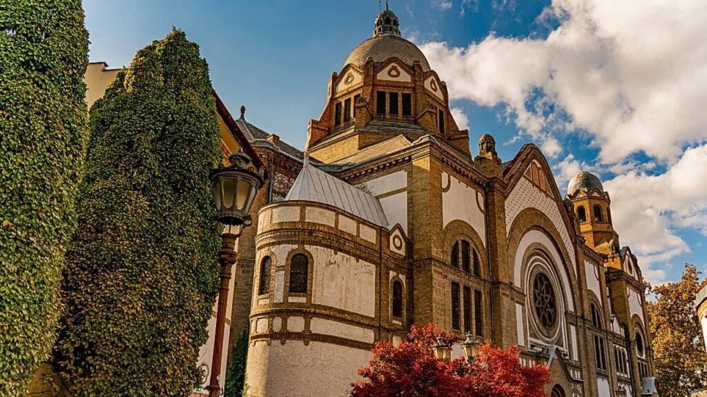 Novi Sad & Petrovaradin: Cultural Heart of Serbia Tour