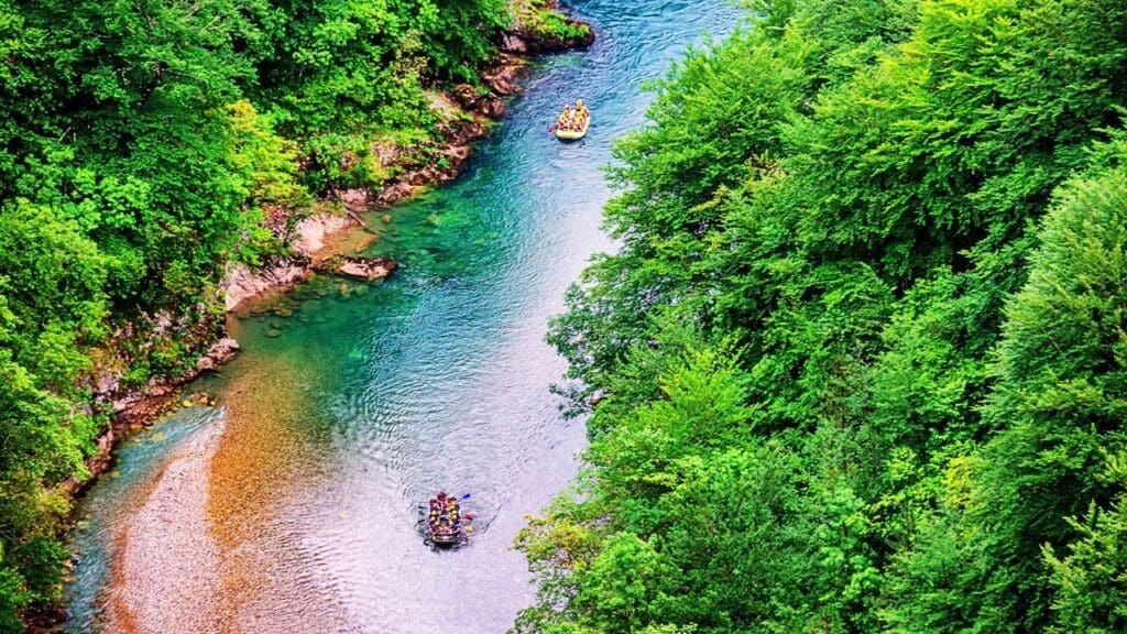 Montenegro's Tara River Rafting Adventure