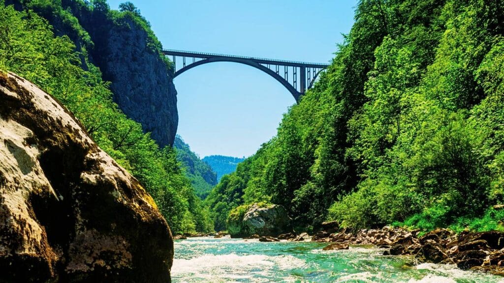 Montenegro's Tara River Rafting Adventure