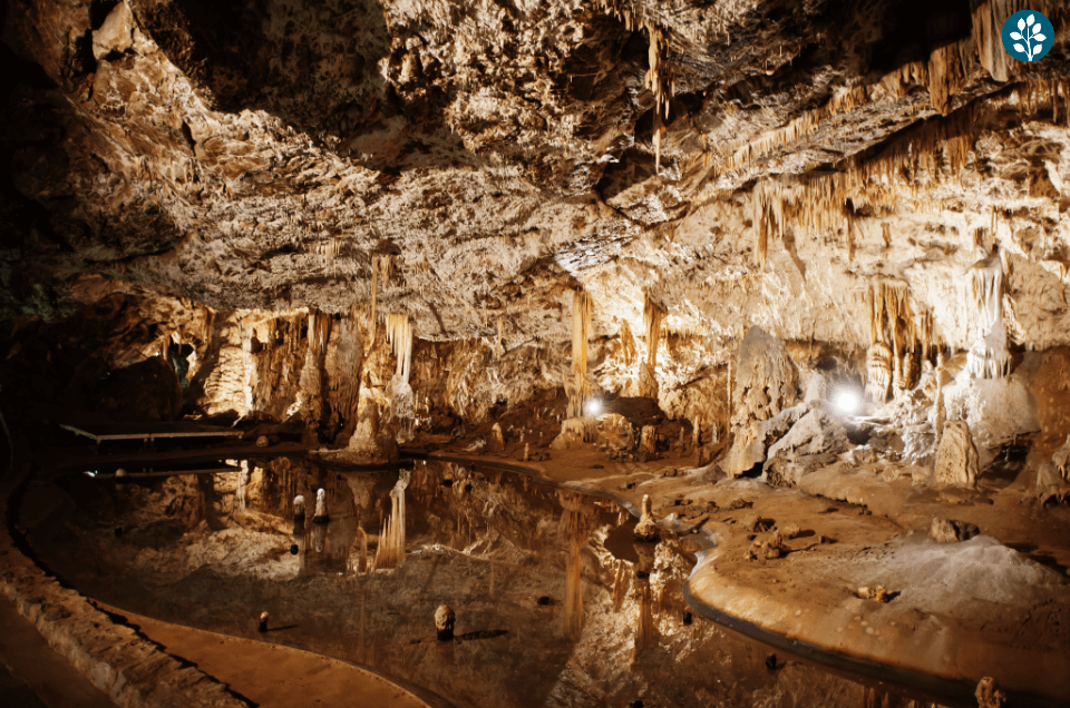 Postojna Cave: Journeying Through the Underground Paradise