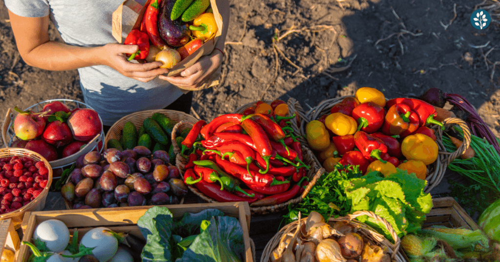 balkan food, organic vegetables