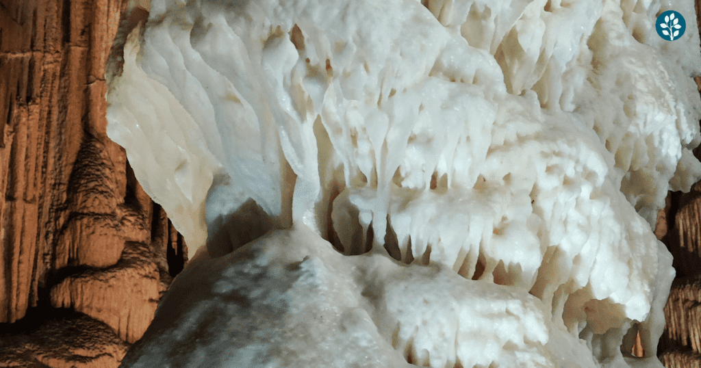 postojna cave, balkan tourism, balkan trips