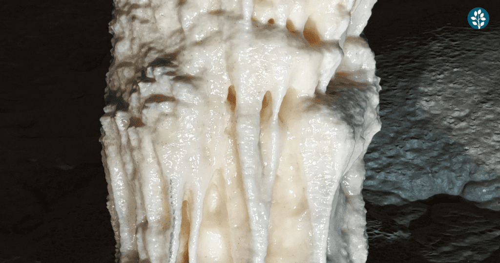 postojna cave slovenia, balkan states tours, balkan trips