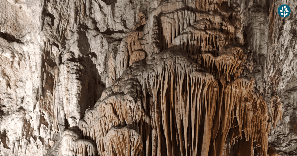 postojna cave, balkan trip, balkan tours